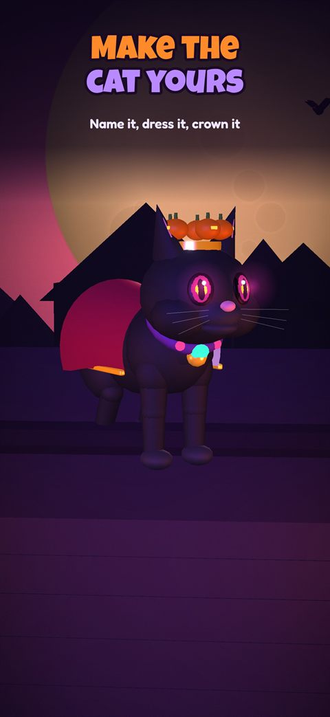 Dressing up the cat